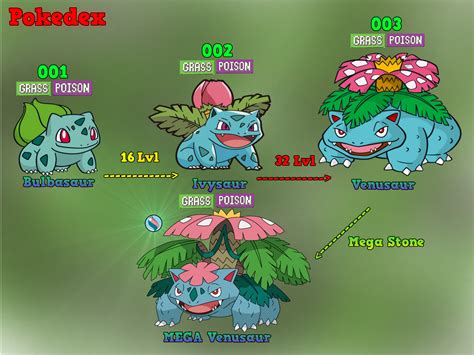 who does bulbasaur evolve into